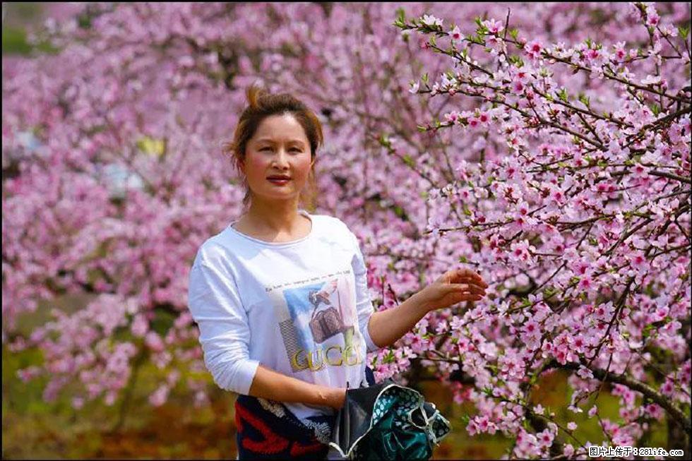 【春天，广西桂林灌阳县向您发出邀请！】官庄村有个醉美的桃花园 - 游山玩水 - 天门生活社区 - 天门28生活网 tm.28life.com