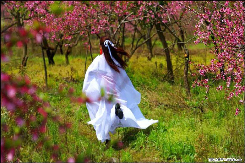 【春天，广西桂林灌阳县向您发出邀请！】官庄村有个醉美的桃花园 - 游山玩水 - 天门生活社区 - 天门28生活网 tm.28life.com