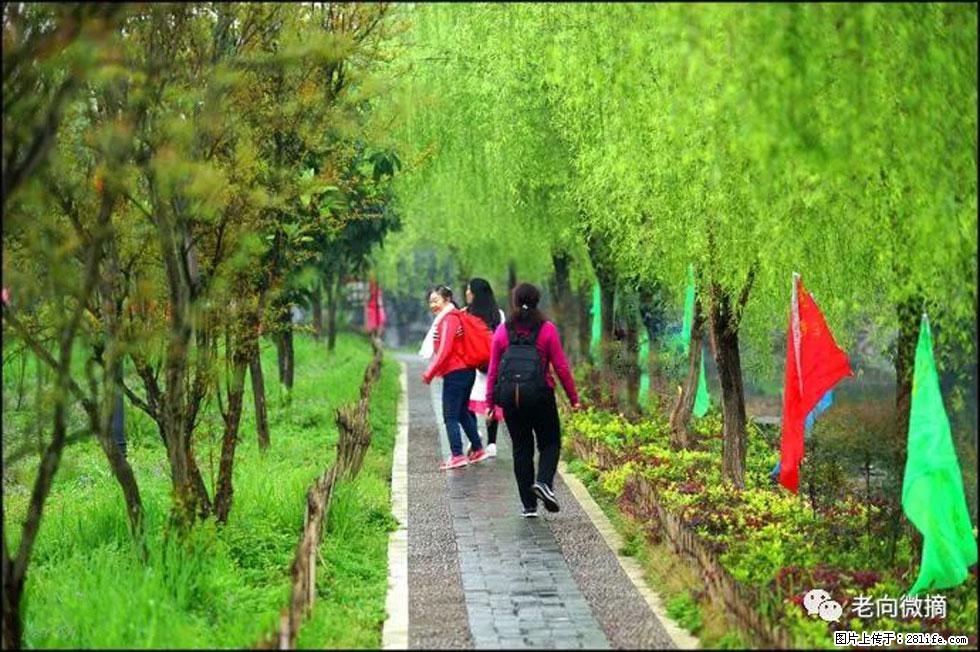 【春天，广西桂林灌阳县向您发出邀请！】江口老街又逢春 - 游山玩水 - 天门生活社区 - 天门28生活网 tm.28life.com