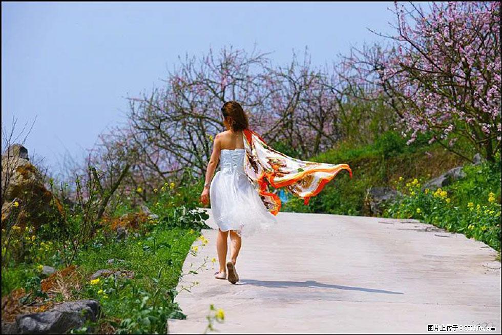 【春天,广西桂林灌阳县向您发出邀请!】望月岭上桃花开 - 游山玩水 - 天门生活社区 - 天门28生活网 tm.28life.com