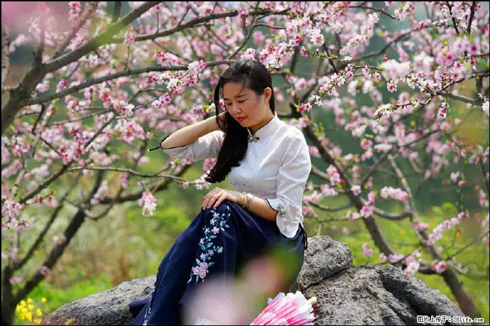 【春天,广西桂林灌阳县向您发出邀请!】望月岭上桃花开 - 游山玩水 - 天门生活社区 - 天门28生活网 tm.28life.com