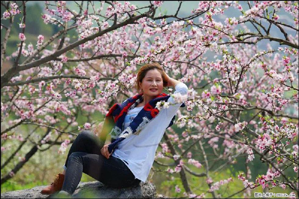 【春天,广西桂林灌阳县向您发出邀请!】望月岭上桃花开 - 游山玩水 - 天门生活社区 - 天门28生活网 tm.28life.com