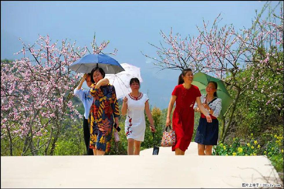 【春天,广西桂林灌阳县向您发出邀请!】望月岭上桃花开 - 游山玩水 - 天门生活社区 - 天门28生活网 tm.28life.com