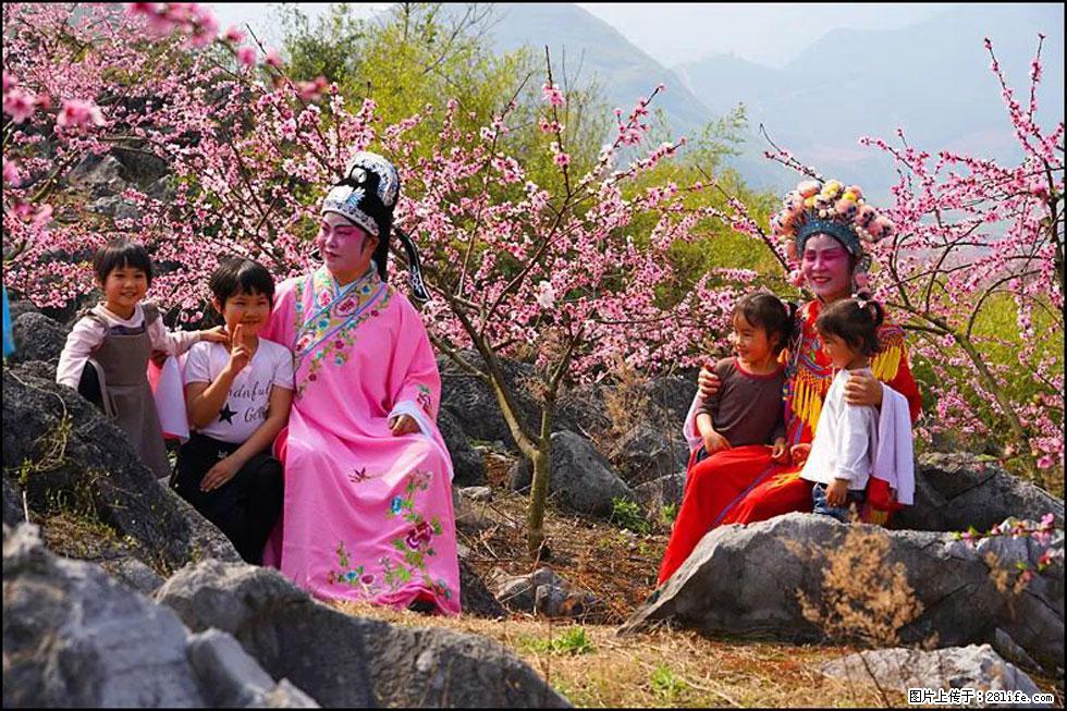 【春天,广西桂林灌阳县向您发出邀请!】望月岭上桃花开 - 游山玩水 - 天门生活社区 - 天门28生活网 tm.28life.com