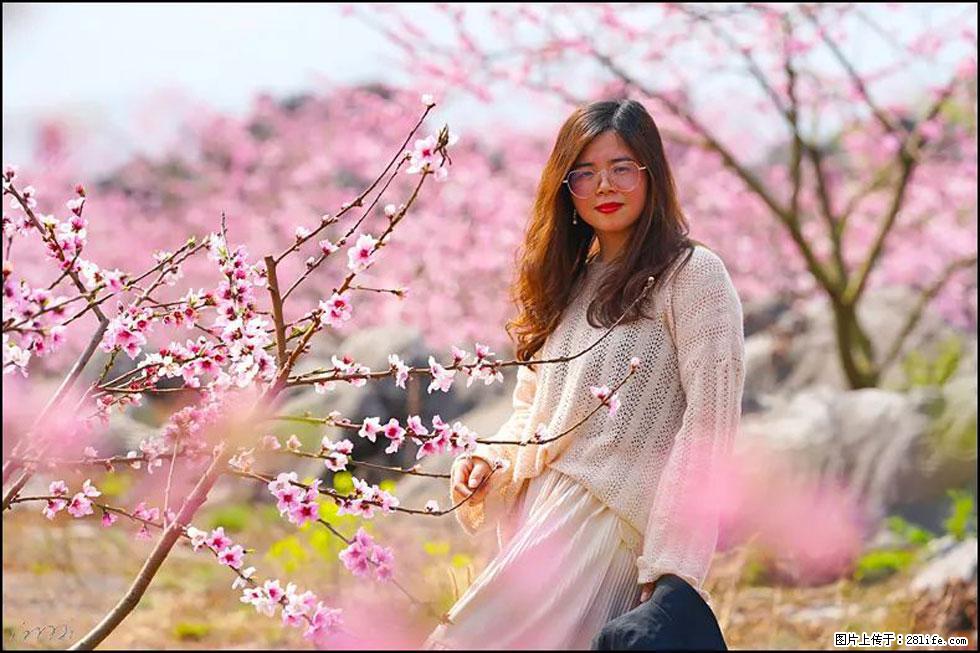 【春天,广西桂林灌阳县向您发出邀请!】望月岭上桃花开 - 游山玩水 - 天门生活社区 - 天门28生活网 tm.28life.com