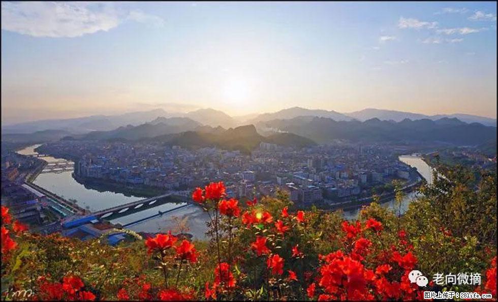 【春天,广西桂林灌阳县向您发出邀请!】登麒麟山,相约映山红 - 游山玩水 - 天门生活社区 - 天门28生活网 tm.28life.com