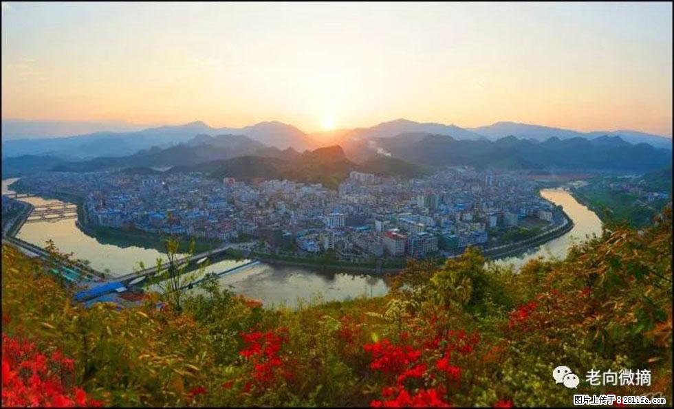 【春天,广西桂林灌阳县向您发出邀请!】登麒麟山,相约映山红 - 游山玩水 - 天门生活社区 - 天门28生活网 tm.28life.com