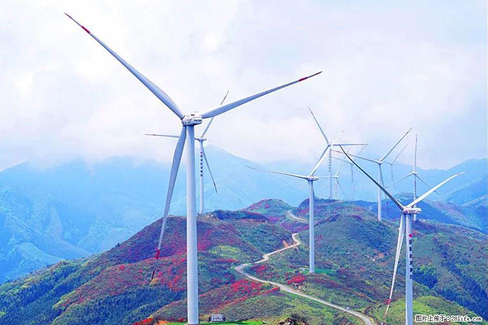 【春天,广西桂林灌阳县向您发出邀请!】春木界上映山红 - 游山玩水 - 天门生活社区 - 天门28生活网 tm.28life.com