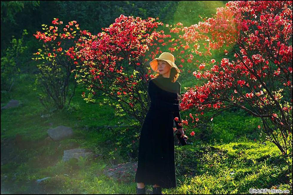 【春天,广西桂林灌阳县向您发出邀请!】春木界上映山红 - 游山玩水 - 天门生活社区 - 天门28生活网 tm.28life.com