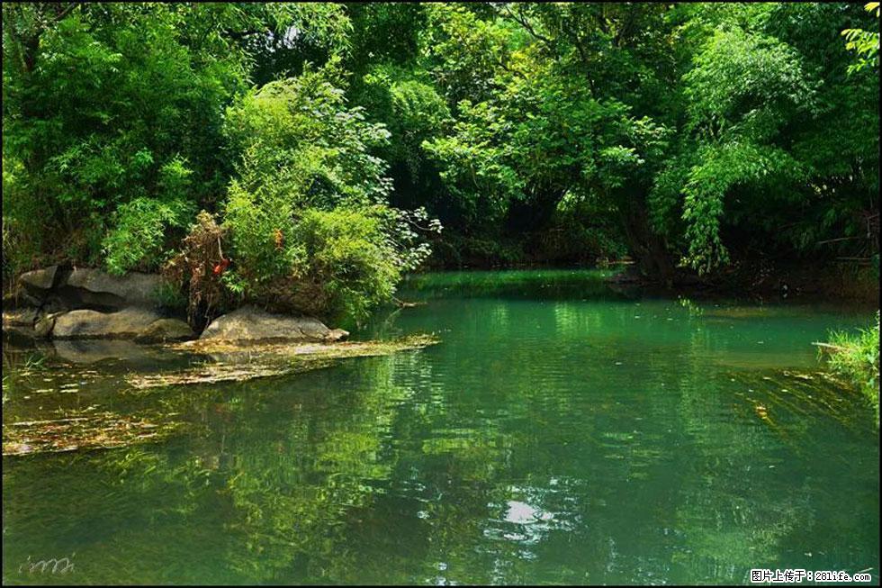 【春天,广西桂林灌阳县向您发出邀请!】如梦似幻莲溪庐 - 游山玩水 - 天门生活社区 - 天门28生活网 tm.28life.com