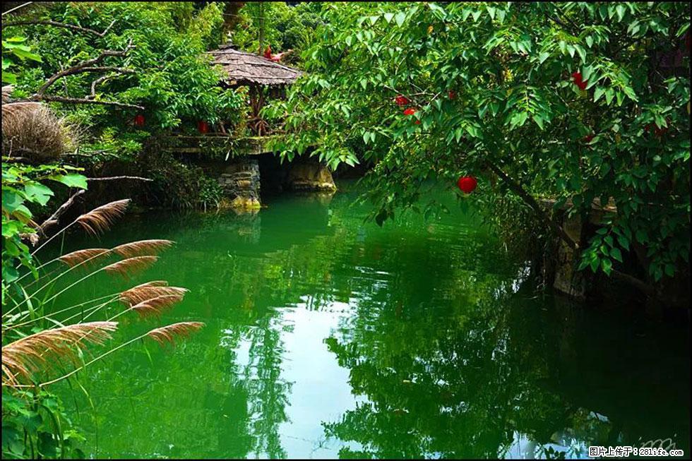 【春天,广西桂林灌阳县向您发出邀请!】如梦似幻莲溪庐 - 游山玩水 - 天门生活社区 - 天门28生活网 tm.28life.com