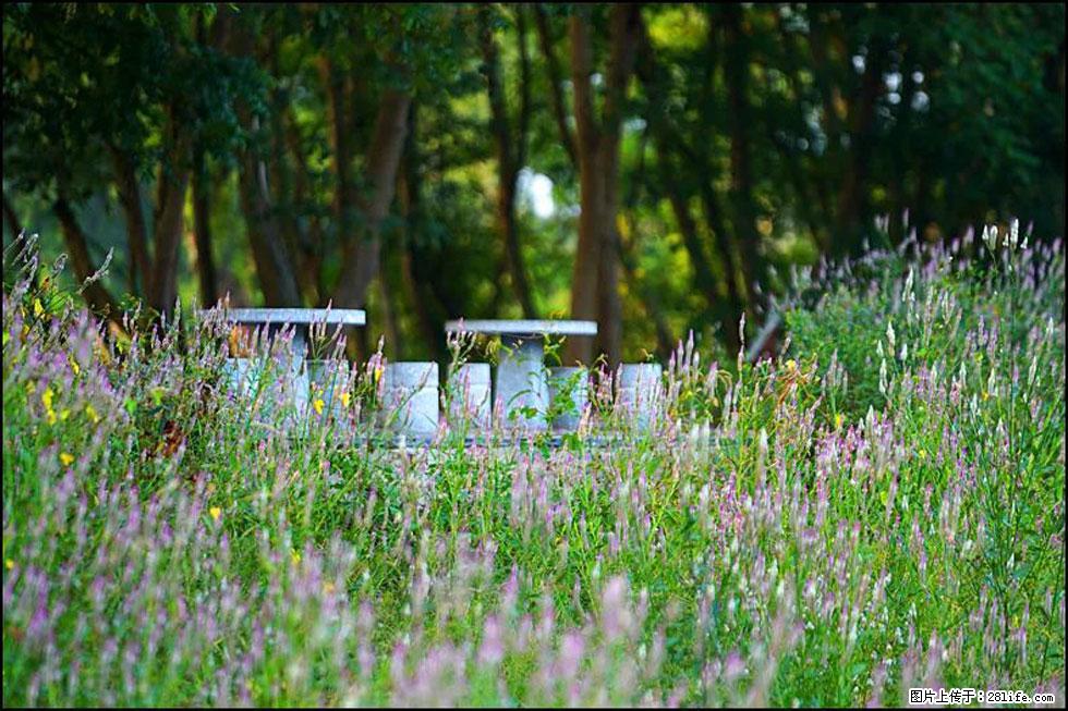 【春天,广西桂林灌阳县向您发出邀请!】熊家寨湿地公园 - 游山玩水 - 天门生活社区 - 天门28生活网 tm.28life.com