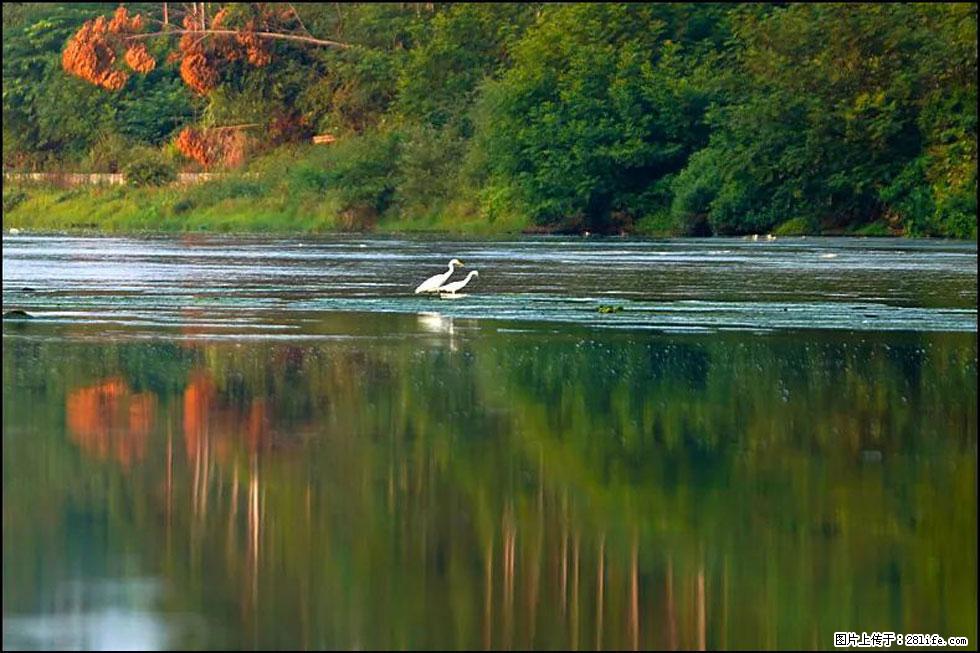 【春天,广西桂林灌阳县向您发出邀请!】熊家寨湿地公园 - 游山玩水 - 天门生活社区 - 天门28生活网 tm.28life.com