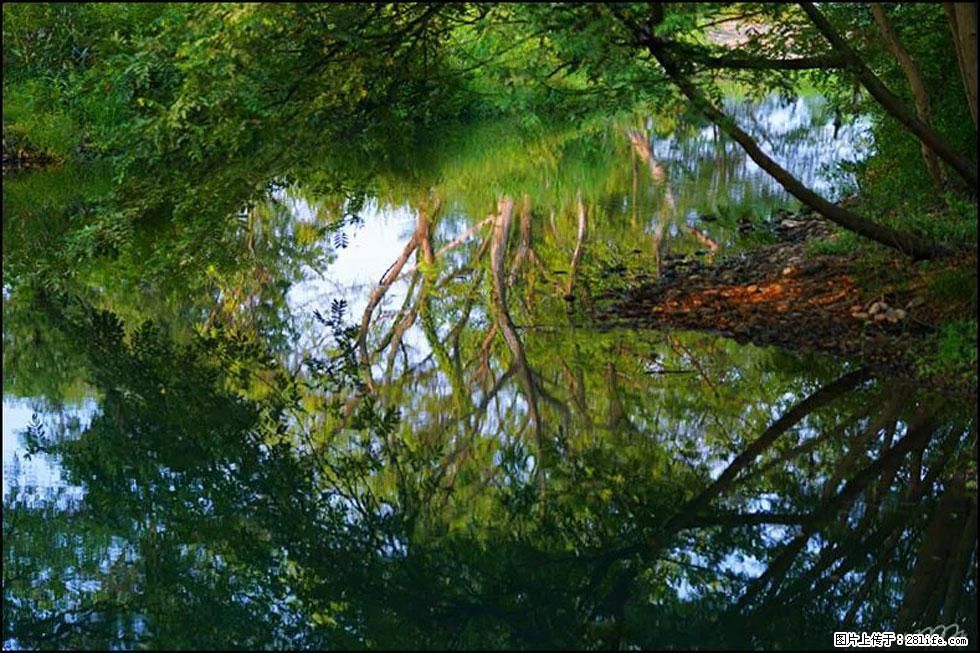 【春天,广西桂林灌阳县向您发出邀请!】熊家寨湿地公园 - 游山玩水 - 天门生活社区 - 天门28生活网 tm.28life.com