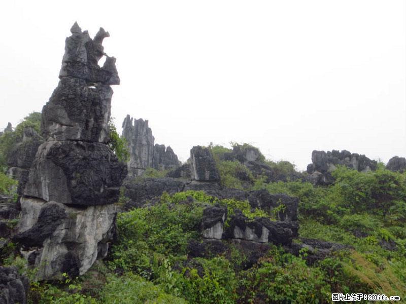 桂林旅游名城景点:灌阳文市石林 - 游山玩水 - 天门生活社区 - 天门28生活网 tm.28life.com