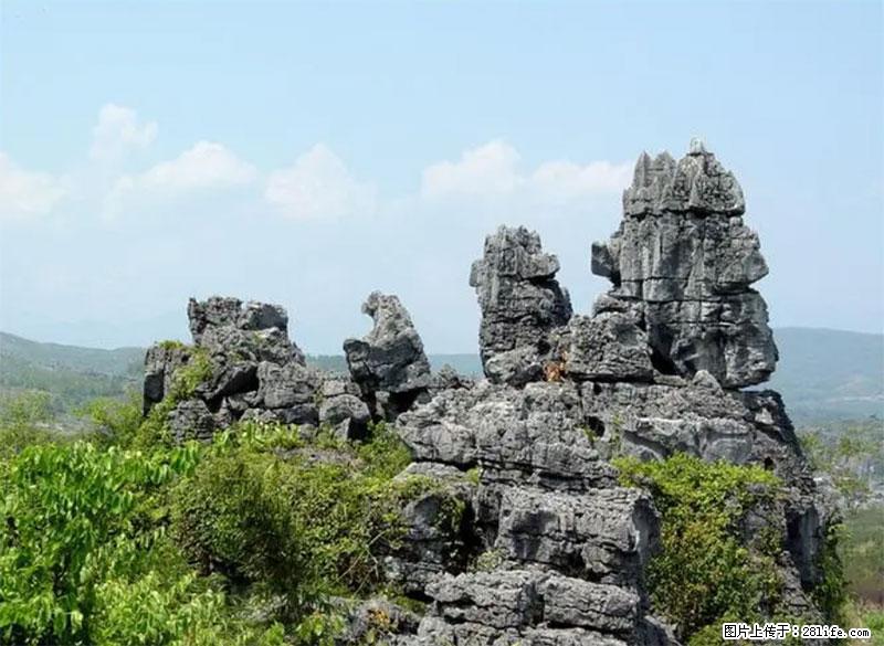 桂林旅游名城景点:灌阳文市石林 - 游山玩水 - 天门生活社区 - 天门28生活网 tm.28life.com