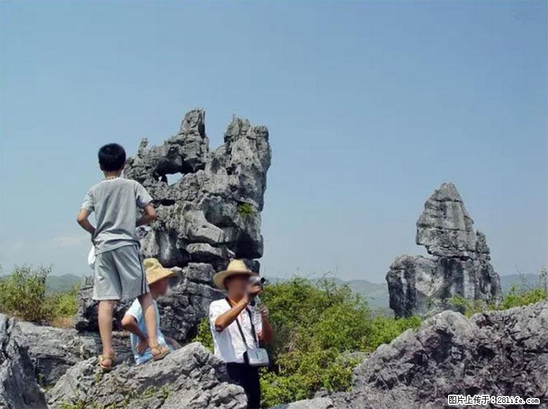 桂林旅游名城景点:灌阳文市石林 - 游山玩水 - 天门生活社区 - 天门28生活网 tm.28life.com