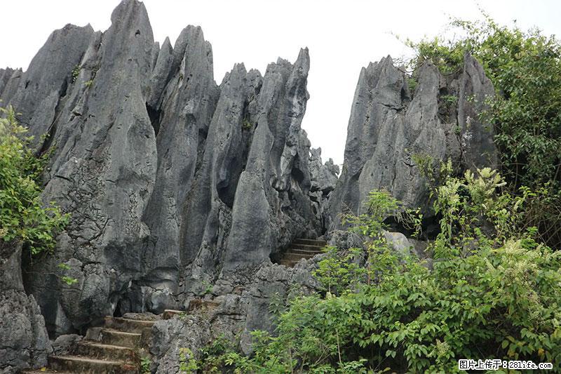 桂林旅游名城景点:灌阳文市石林 - 游山玩水 - 天门生活社区 - 天门28生活网 tm.28life.com