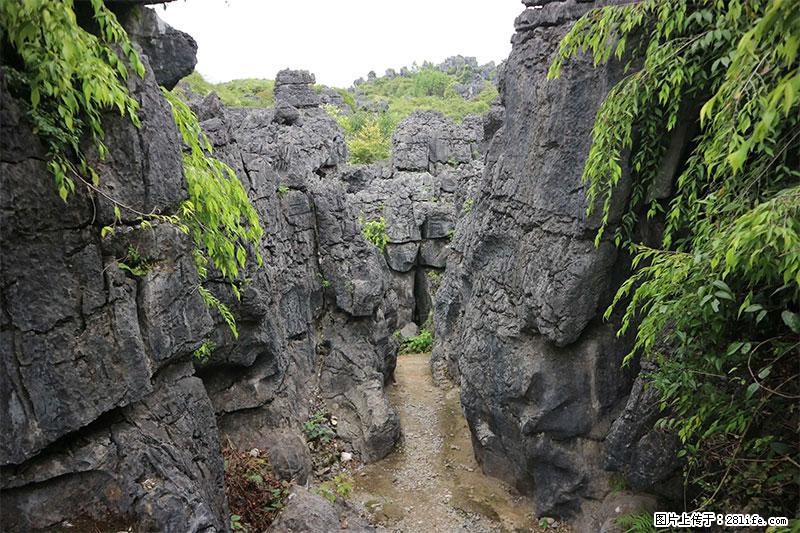 桂林旅游名城景点:灌阳文市石林 - 游山玩水 - 天门生活社区 - 天门28生活网 tm.28life.com