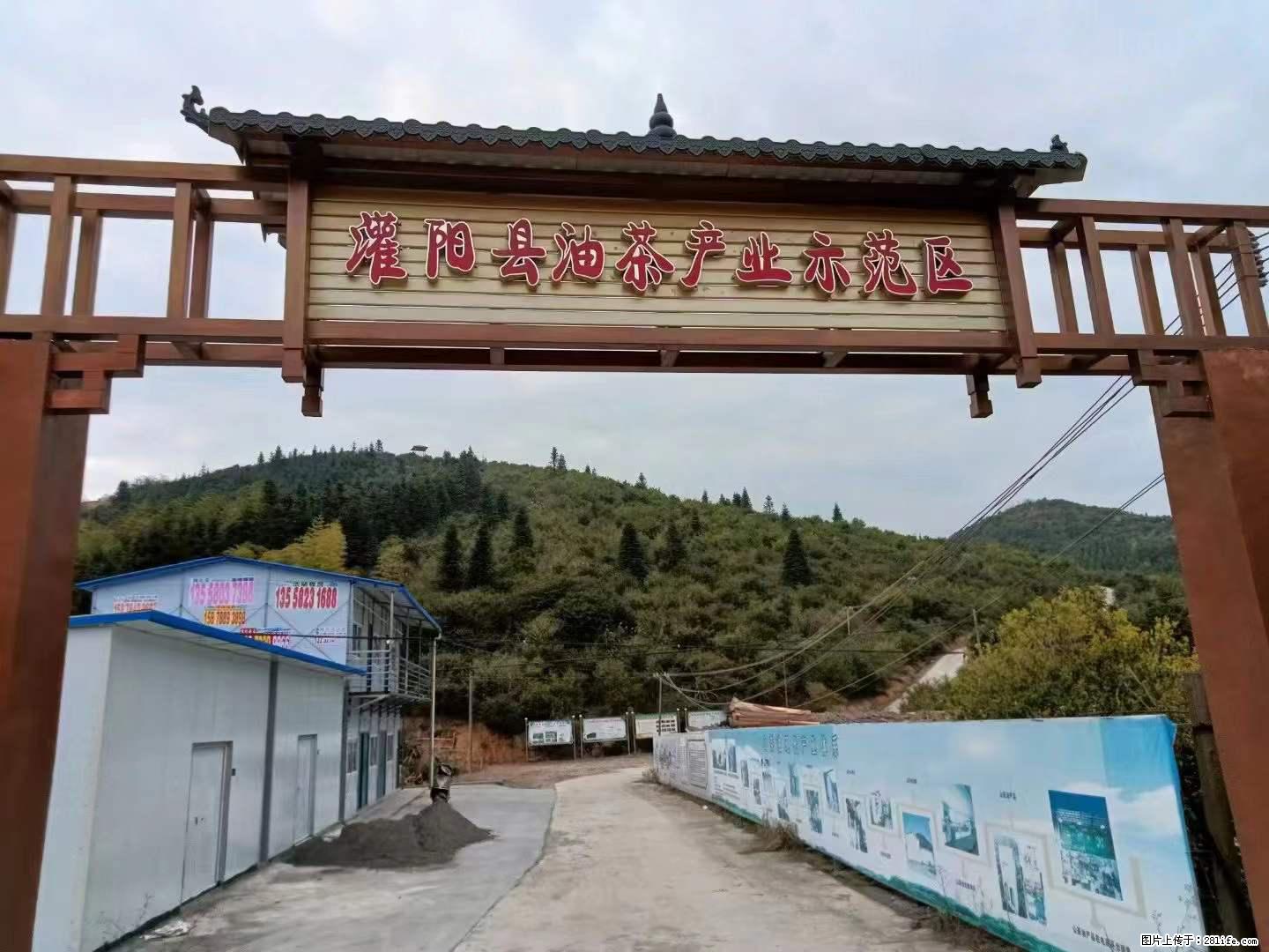 【灌阳县油茶产业示范区】一个有着充实的精神生活的人,对待身外之物自会有一种淡泊的态度 - 美食天地 - 天门生活社区 - 天门28生活网 tm.28life.com