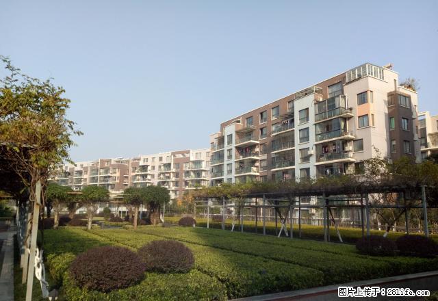 小学对面新城四期精装修两房诚意出租 - 房屋出租 - 房屋租售 - 天门分类信息 - 天门28生活网 tm.28life.com