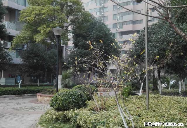 新城五期魅力风景湾优质房源出租,2室2厅一卫,拎包入住。 - 房屋出租 - 房屋租售 - 天门分类信息 - 天门28生活网 tm.28life.com
