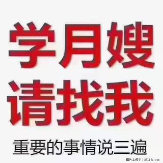 【招聘】月嫂,上海徐汇区 - 天门28生活网 tm.28life.com