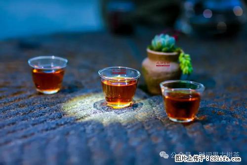 时间果百年古树2025年春红茶 - 购物交流 - 天门生活社区 - 天门28生活网 tm.28life.com