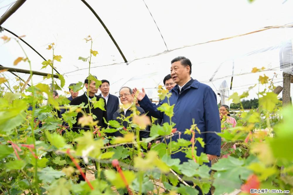 习近平赴广西考察调研 - 天门生活资讯 - 天门28生活网 tm.28life.com