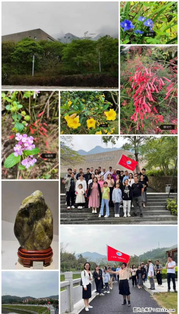 “粤灌文化 美好生活”油茶文化主题活动在广东深圳成功举办 - 天门生活资讯 - 天门28生活网 tm.28life.com