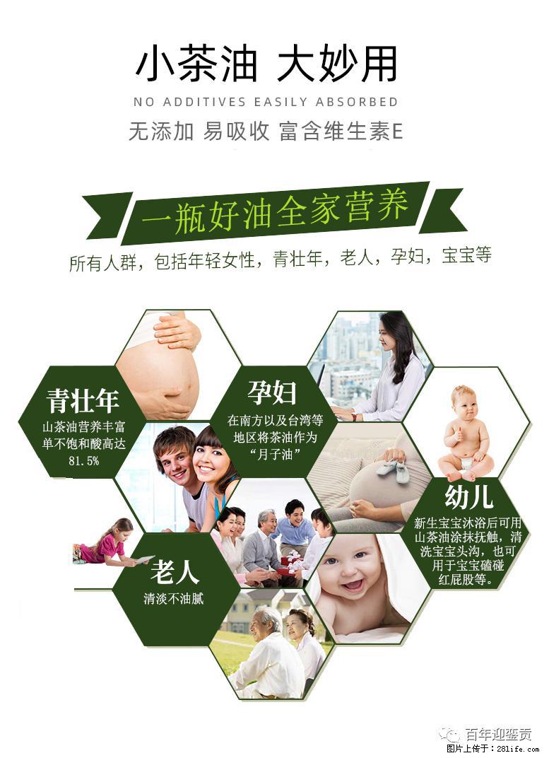 世界没有真相,只有认知,最好的食用油是中国的山茶油! - 天门生活资讯 - 天门28生活网 tm.28life.com