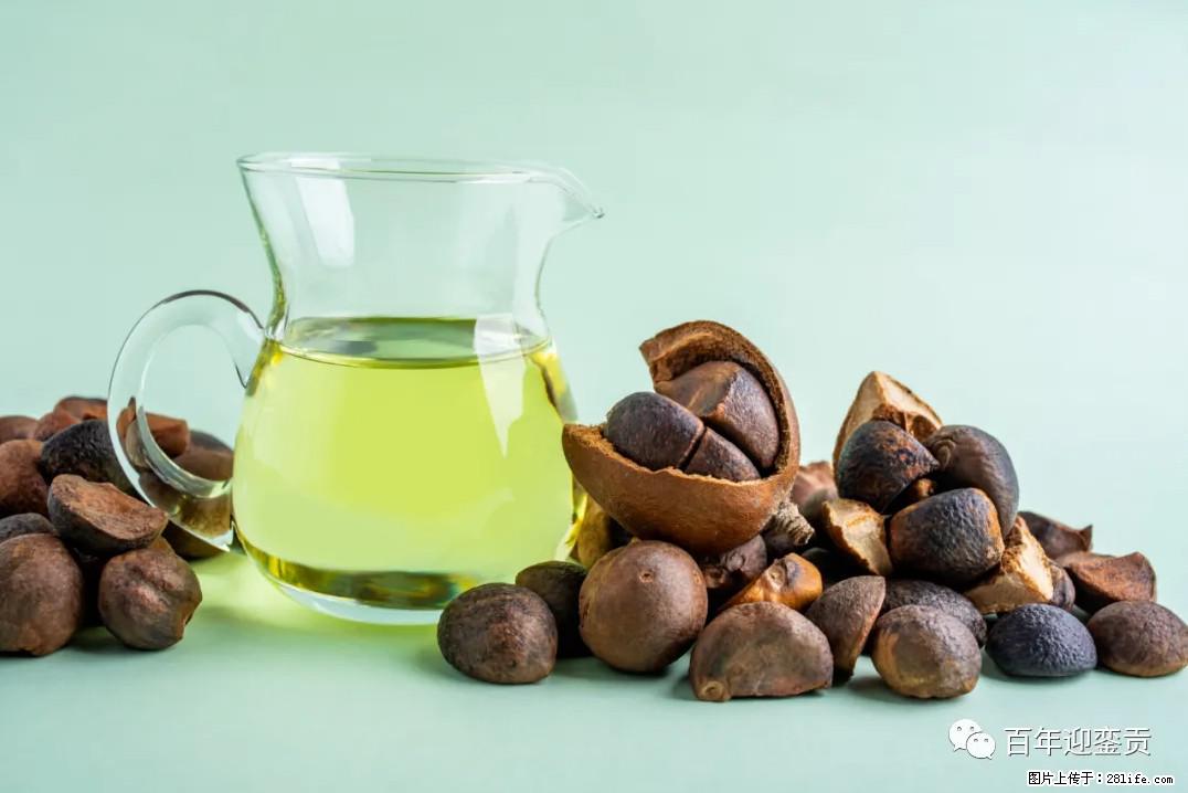 世界没有真相,只有认知,最好的食用油是中国的山茶油! - 天门生活资讯 - 天门28生活网 tm.28life.com