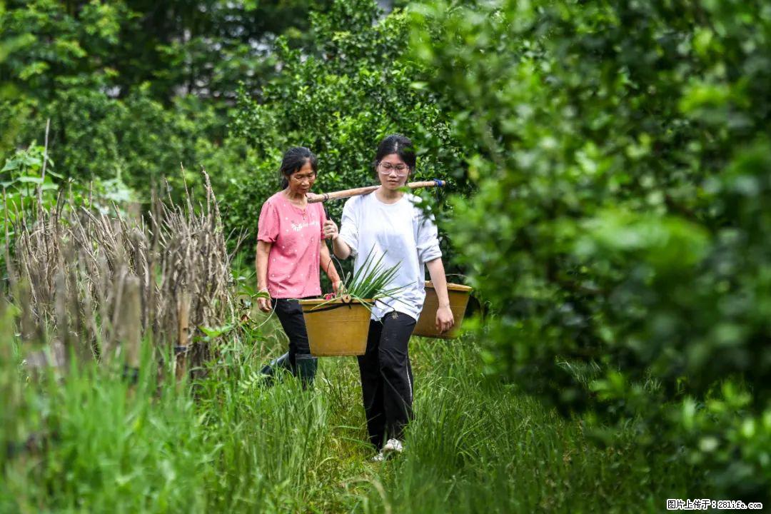 全网追的“扁担女孩”,找了一份暑假工,时薪12元 - 天门生活资讯 - 天门28生活网 tm.28life.com