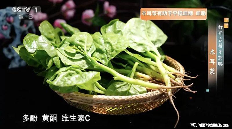 比牛奶补钙还厉害!凉血解毒、稳血糖...这菜冬天必吃,很多人却当草 - 天门生活资讯 - 天门28生活网 tm.28life.com