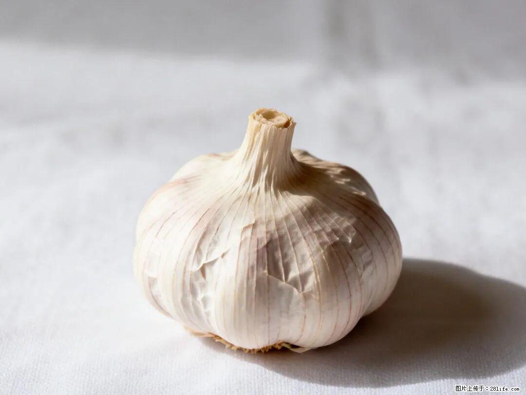 关于大蒜，除了“天然抗生素”，这4个谣言更该警惕! - 天门生活资讯 - 天门28生活网 tm.28life.com