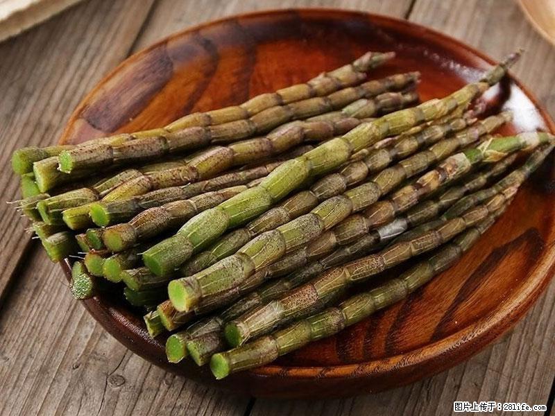 铁皮石斛的作用与功能主治 - 天门生活资讯 - 天门28生活网 tm.28life.com