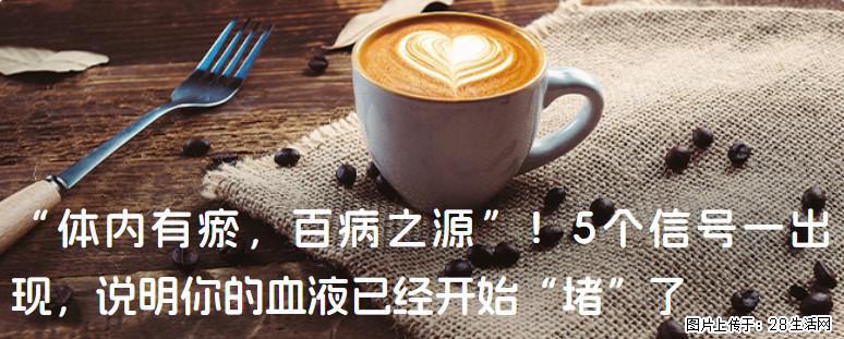 “体内有瘀，百病之源”！5个信号一出现，说明你的血液已经开始“堵”了 - 天门生活资讯 - 天门28生活网 tm.28life.com
